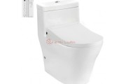 Bàn Cầu TOTO CW166RB/TCF34320GAA/T53P100VR Nắp Điện Tử Chữ D S5